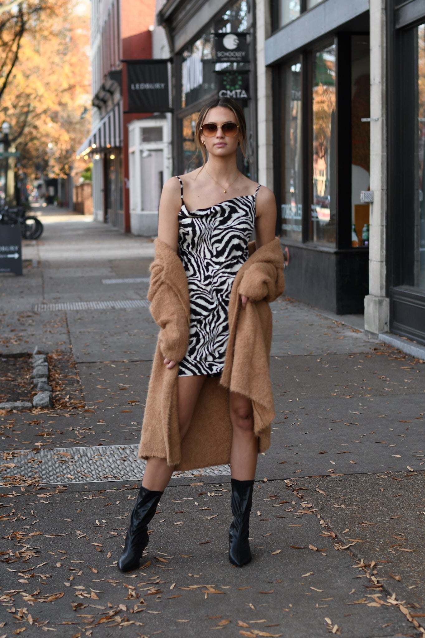 zebra print dresses